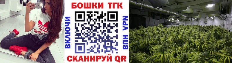 МЕФ Арзамас