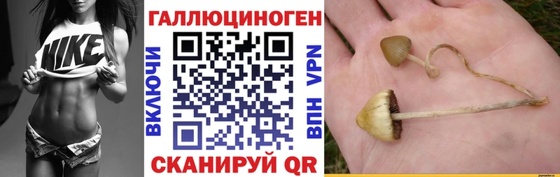 купить наркотики цена  Арзамас  Галлюциногенные грибы Psilocybine cubensis 