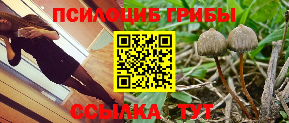 Галлюциногенные грибы ЛСД  Вход с VPN  Арзамас  Галлюциногенные грибы мицелий 