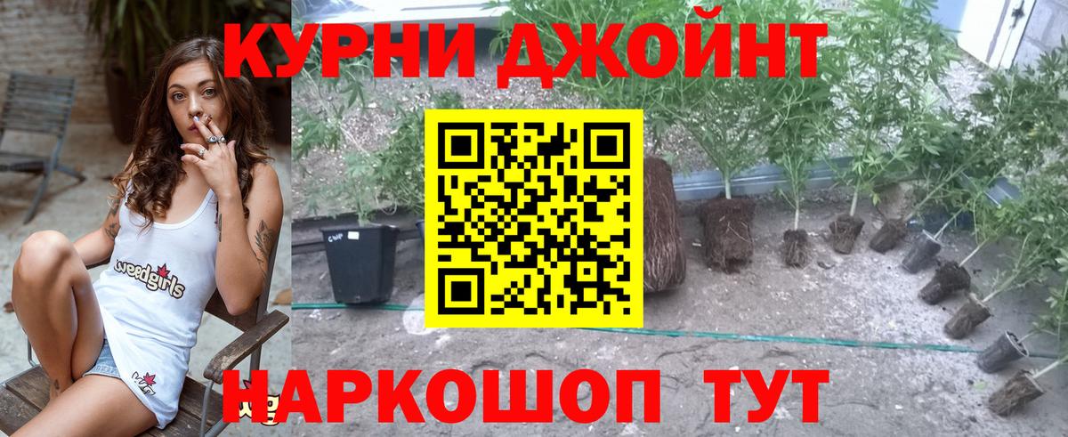 Каннабис Ganja Арзамас